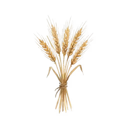 Grain