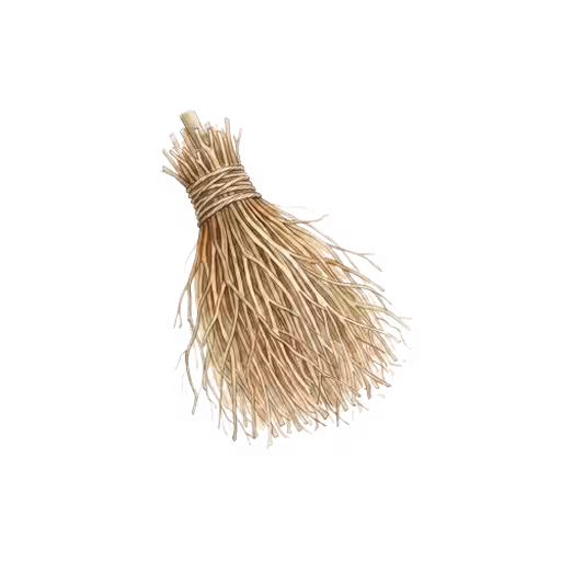 Broom brush