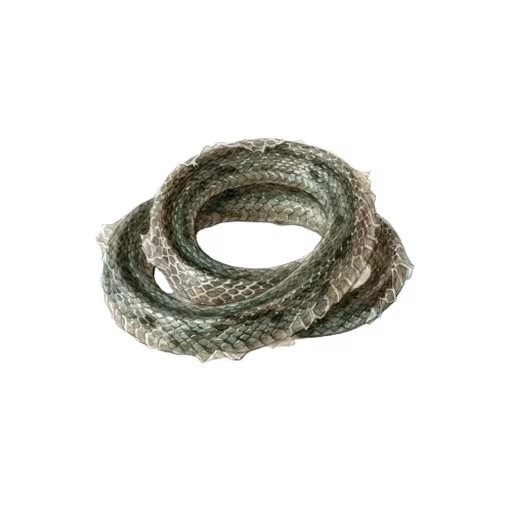Boomslang Skin