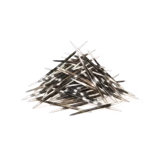 Porcupine Quills