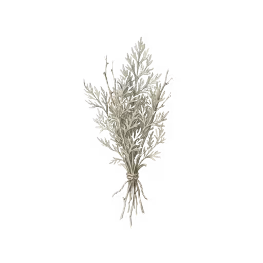 Wormwood